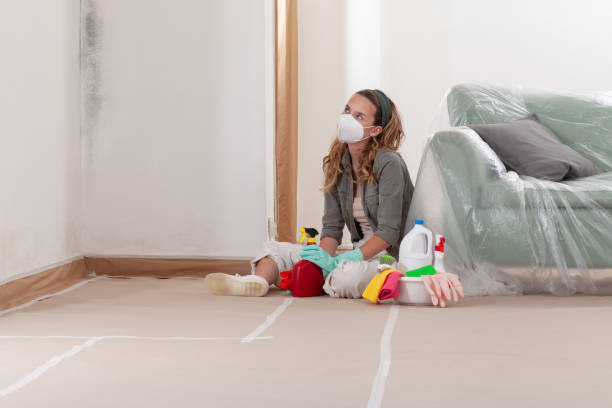 Reliable Mold Removal contractor in Burnham, IL by 24 Hour Mold Removal
